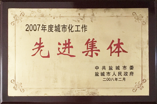 2008年2月城市化工作&ldquo;先進(jìn)集體&rdquo;.jpg